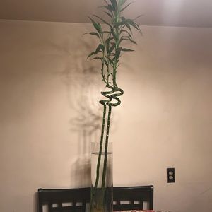 Meet your Posher, Josep oriol